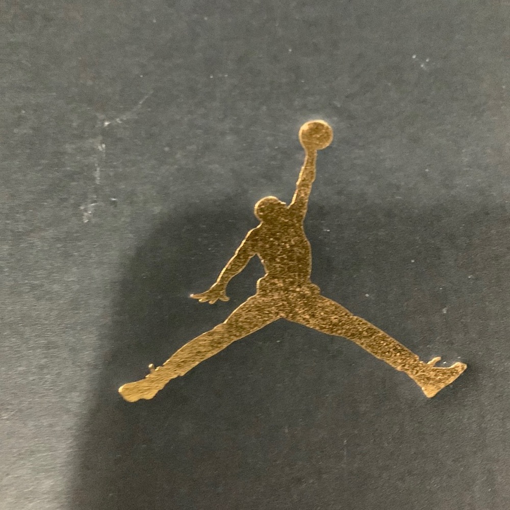 Brand new Jordans Flights 23 BG
